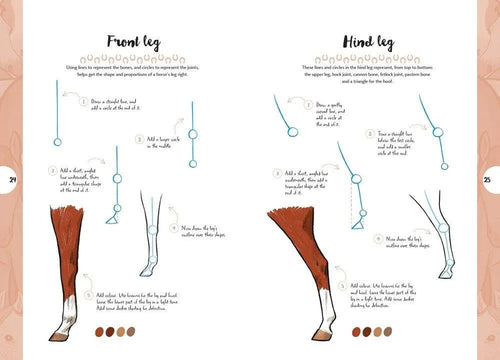 10 Step Drawing Book - Horses & Ponies