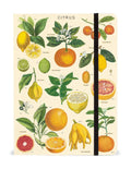 Cavallini Notebook Large – Citrus