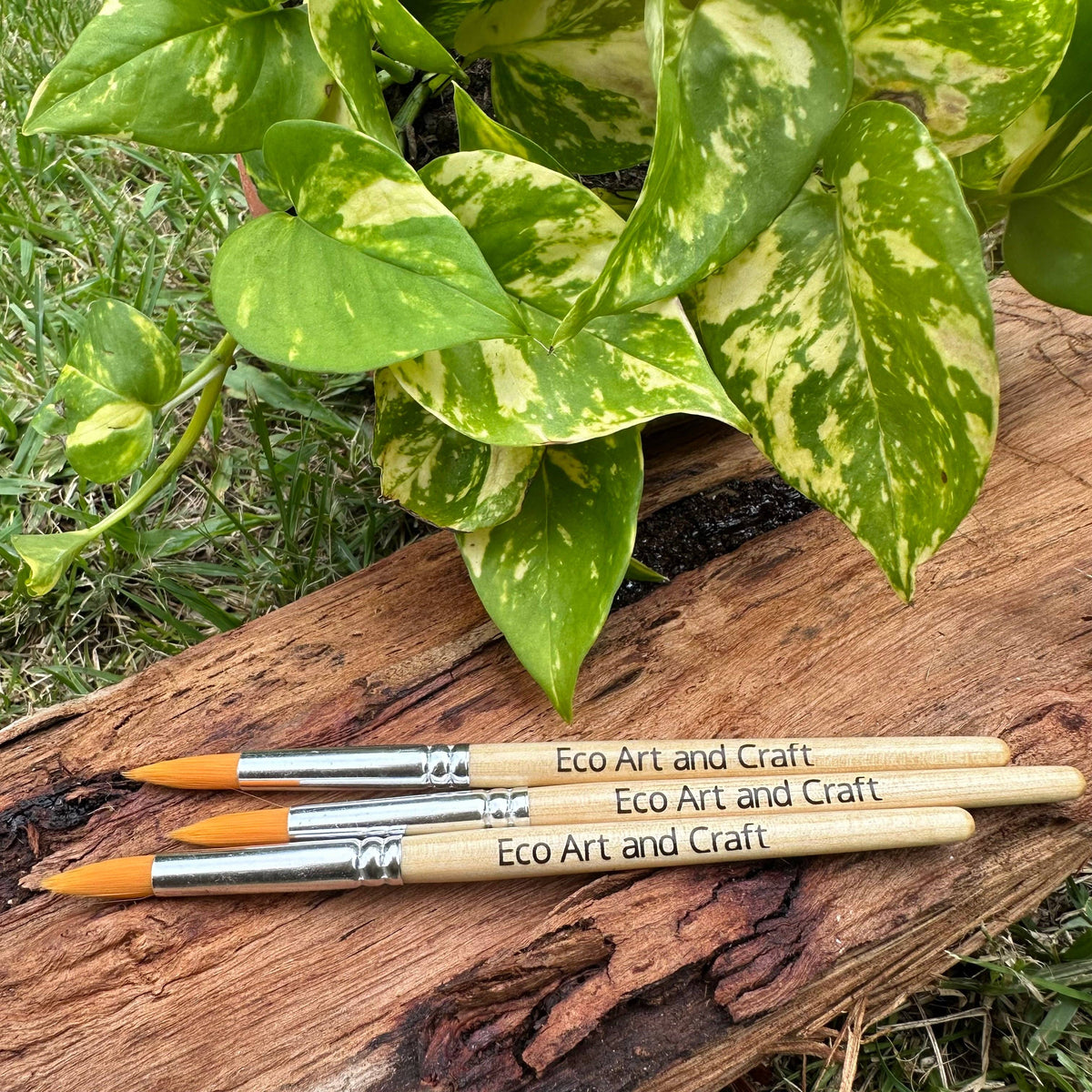 Eco Paint Brush