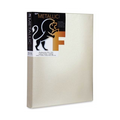 Fredrix Metallic Pearlesent Stretched Gallery Canvas 24x36