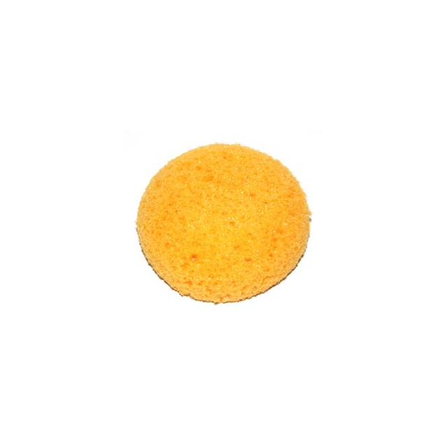 Pottery Sponge