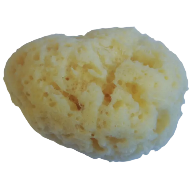 Sea Sponge - Natural Fine Grade 5/6cm