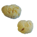 Sea Sponge - Natural Honeycomb 7/8cm