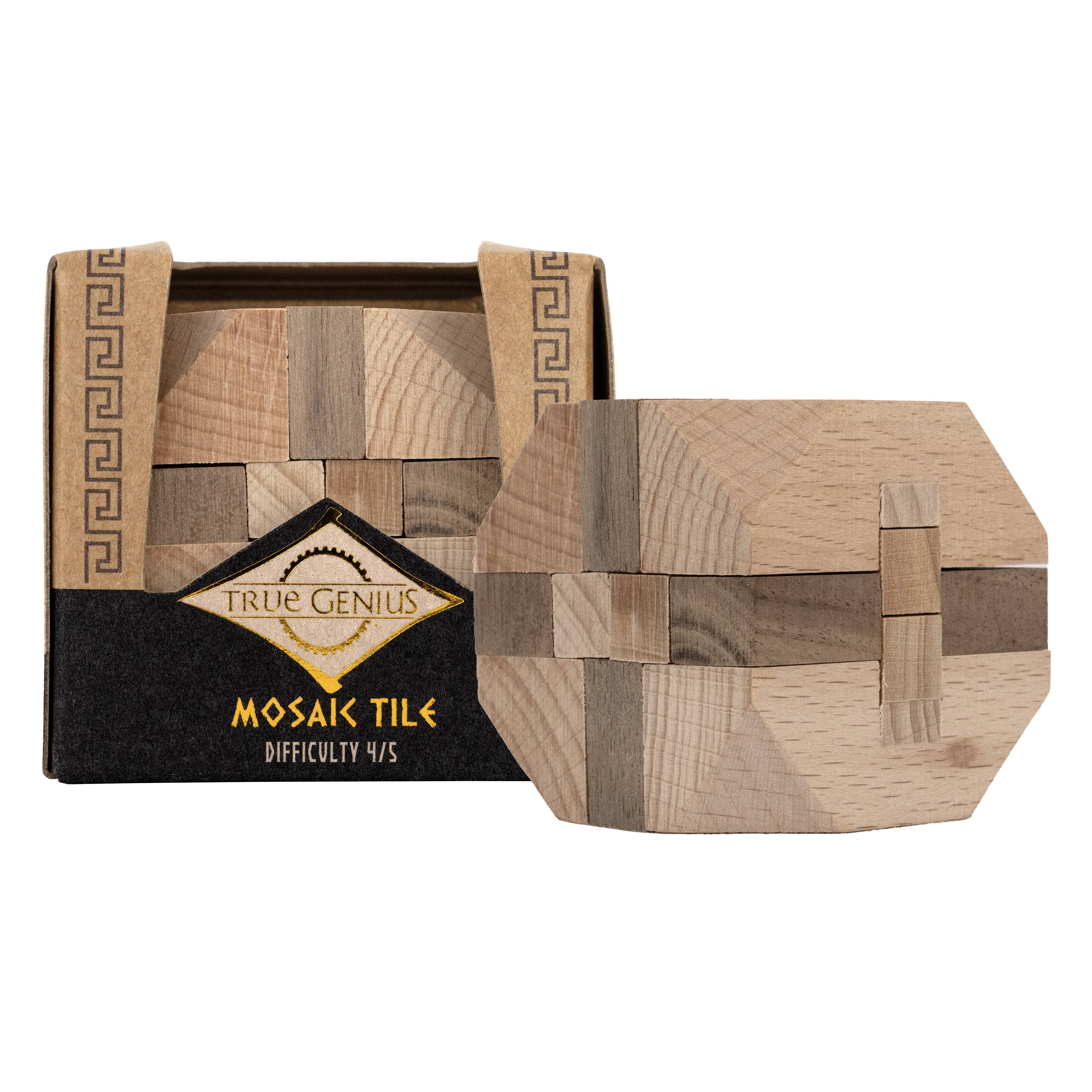 Project Genius - True Genius 1Pc Assorted