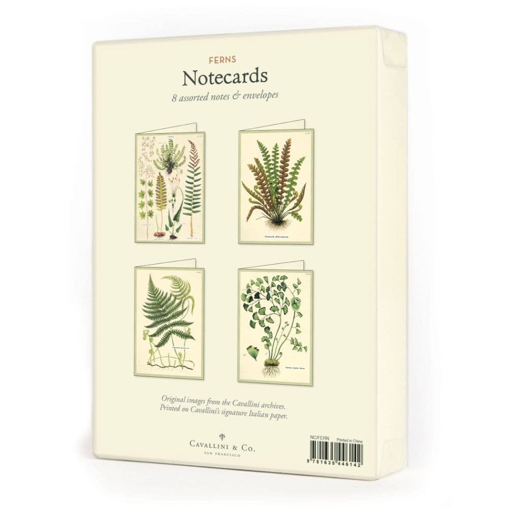 Cavallini Boxed Notecards - Fern